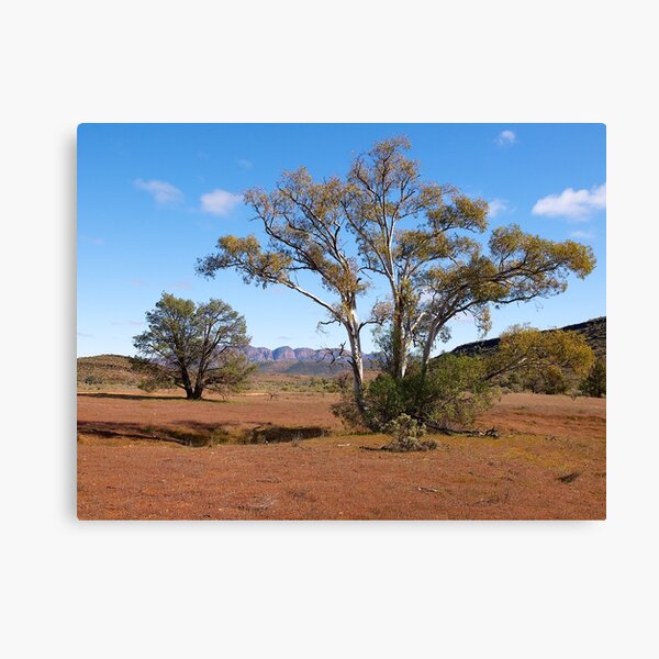 Item preview, Flinders Ranges,  near Wilpena Pound, South Australia. (Study#5) designed and sold by johnrf.