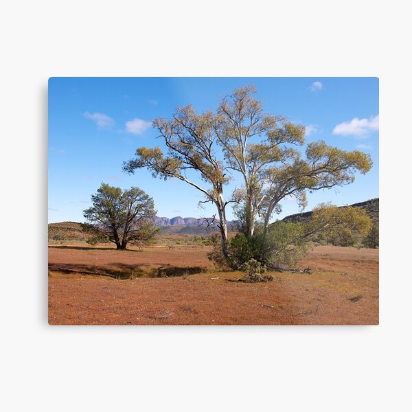 Item preview, Flinders Ranges,  near Wilpena Pound, South Australia. (Study#5) designed and sold by johnrf.
