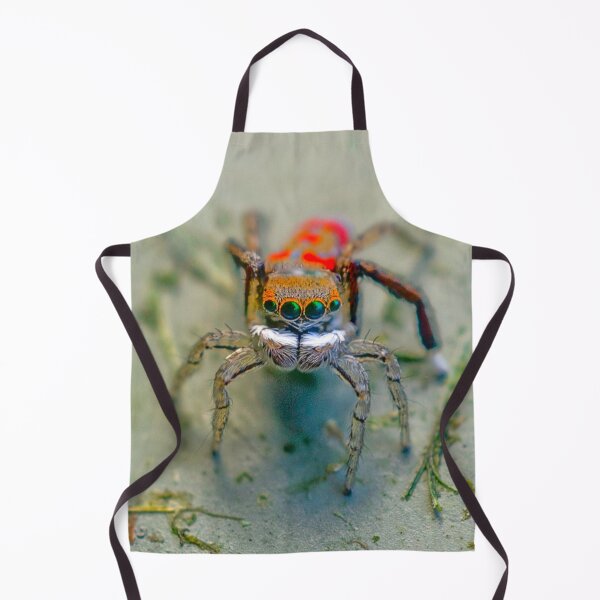 Item preview, Friendly neighborhood peacock spider designed and sold by Cornishinoz.