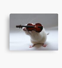 Its not easy being a violin player:) Canvas Print