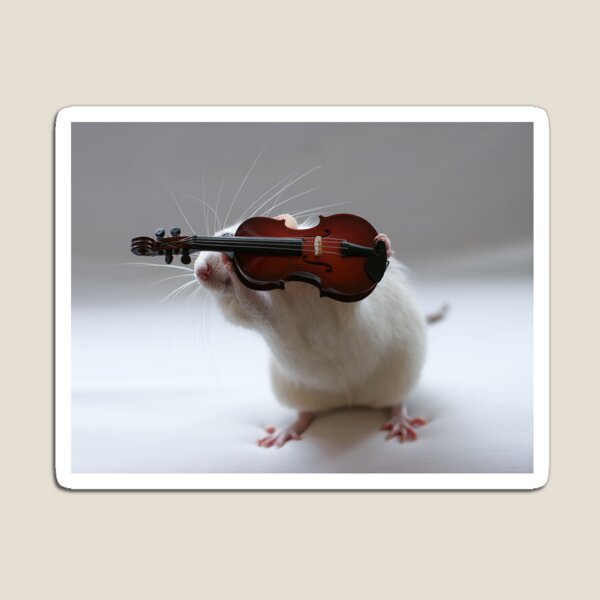 Its not easy being a violin player:) Magnet