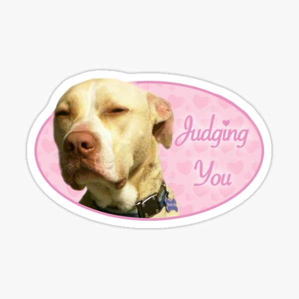 Item preview, Doggo Stickers: Judging Doggo designed and sold by Elisecv.