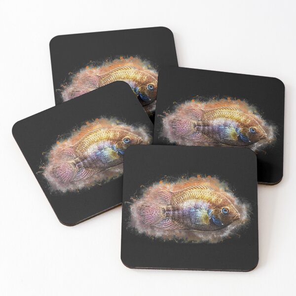Item preview, Sajica cichlid - Cryptoheros sajica designed and sold by AquariumLutter.