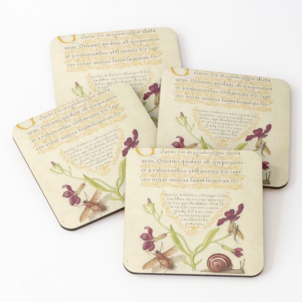 Item preview, Naturalist Manuscript Flowers, Insects and Animal Illumination: Gillyflower, Mayfly, Fly, and Snail by Joris Hoefnagel  designed and sold by Naturalist Prints.