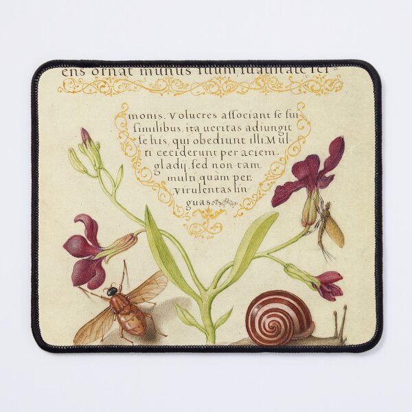 Item preview, Naturalist Manuscript Flowers, Insects and Animal Illumination: Gillyflower, Mayfly, Fly, and Snail by Joris Hoefnagel  designed and sold by Naturalist Prints.