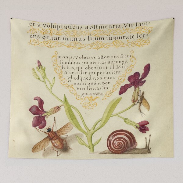 Item preview, Naturalist Manuscript Flowers, Insects and Animal Illumination: Gillyflower, Mayfly, Fly, and Snail by Joris Hoefnagel  designed and sold by Naturalist Prints.