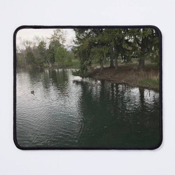 Item preview, Quarton Lake Tranquility, Birmingham, MI designed and sold by Bostonsofi.