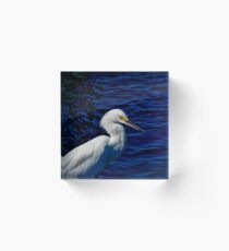 SNOWY EGRET PORTRAIT Acrylic Block