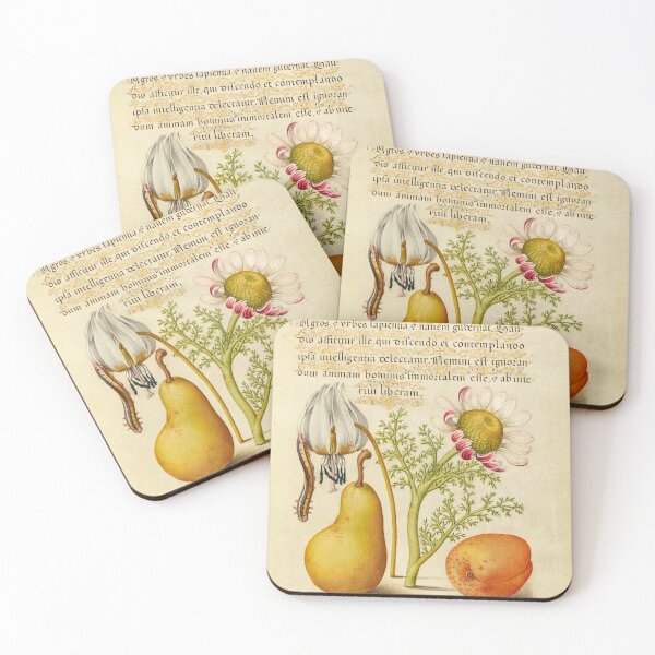 Item preview, Naturalist Manuscript Plants, Insects and Fruit Illumination: Caterpillar, Dog-Tooth Violet, Pear, and Apricot by Joris Hoefnagel  designed and sold by Naturalist Prints.