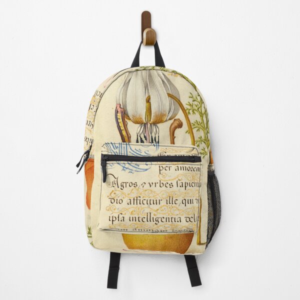 Item preview, Naturalist Manuscript Plants, Insects and Fruit Illumination: Caterpillar, Dog-Tooth Violet, Pear, and Apricot by Joris Hoefnagel  designed and sold by Naturalist Prints.