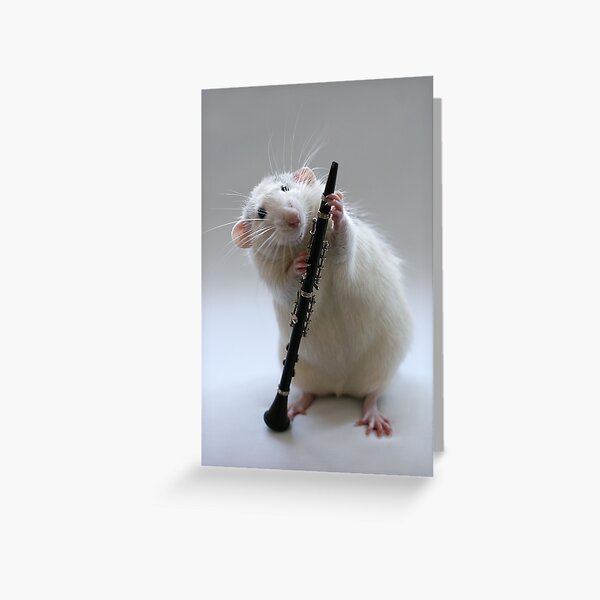 My new Clarinet. Greeting Card