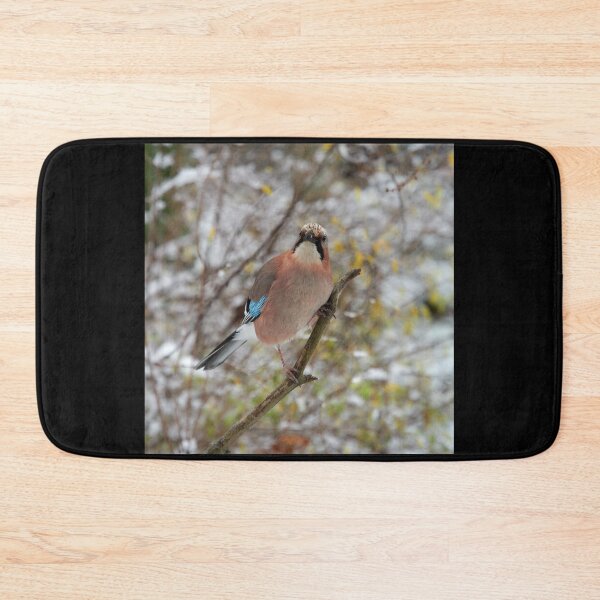 Item preview, Hey jay. Eurasian jay designed and sold by Jouko Lehto Photography.