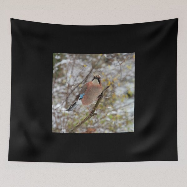 Item preview, Hey jay. Eurasian jay designed and sold by Jouko Lehto Photography.