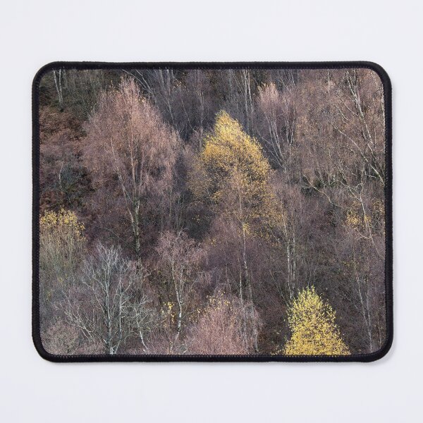 Item preview, Fellside Autumnal Colour designed and sold by Phil Buckle.