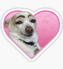 Doggo Stickers: Eyebrow Doggo Sticker