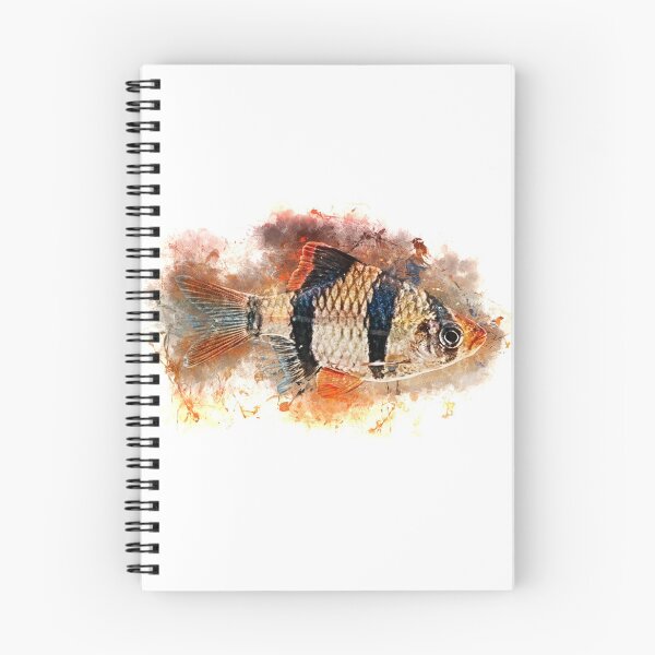 Aperçu de l'œuvre Barbus de Sumatra - Puntigrus tetrazona créée et vendue par AquariumLutter.