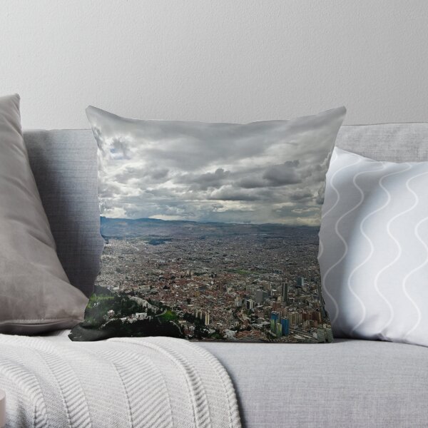 https://ih1.redbubble.net/image.292548466.3555/throwpillow,small,600x-bg,f8f8f8-c,0,120,600,600.u8.jpg