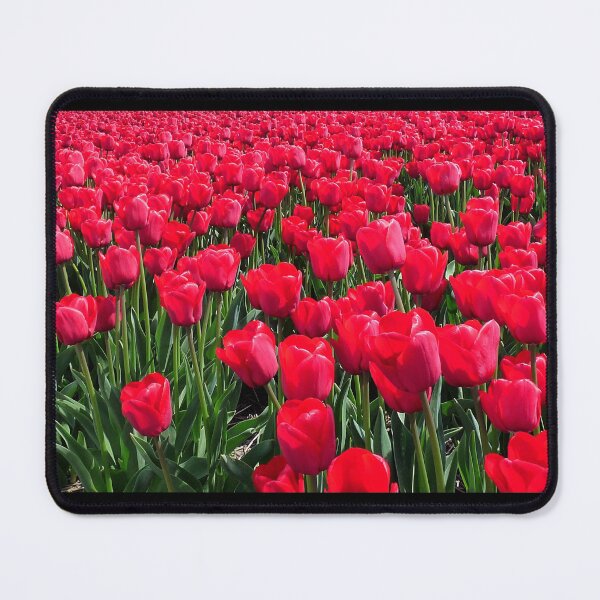 Item preview, Red Tulip Field designed and sold by Birgit Moldenhauer.