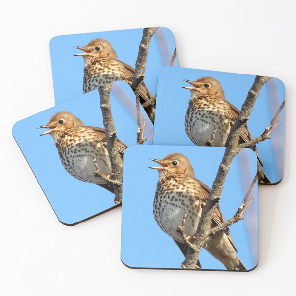 Item preview, Song Thrush singing from a treetop designed and sold by BryanDevon.