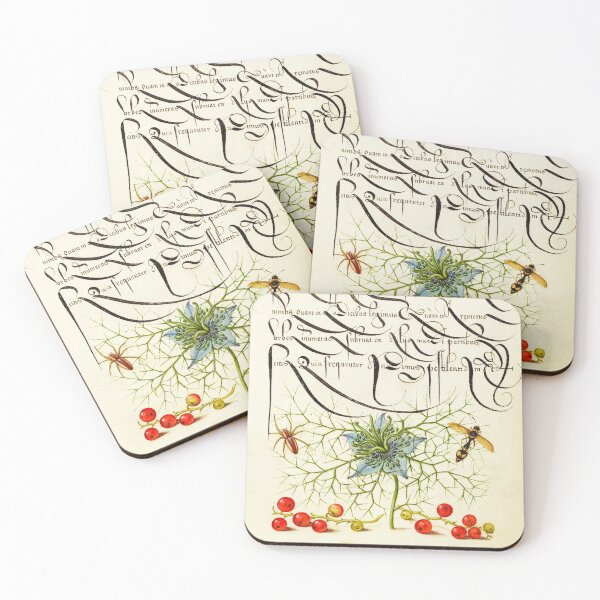 Item preview, Naturalist Manuscript Plants, Insects and Fruit Illumination: Spider, Love-in-a-Mist, Potter Wasp, and Red Currant by Joris Hoefnagel  designed and sold by Naturalist Prints.