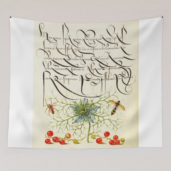 Item preview, Naturalist Manuscript Plants, Insects and Fruit Illumination: Spider, Love-in-a-Mist, Potter Wasp, and Red Currant by Joris Hoefnagel  designed and sold by Naturalist Prints.