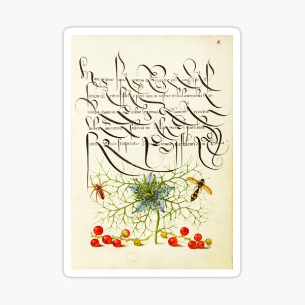 Item preview, Naturalist Manuscript Plants, Insects and Fruit Illumination: Spider, Love-in-a-Mist, Potter Wasp, and Red Currant by Joris Hoefnagel  designed and sold by Naturalist Prints.