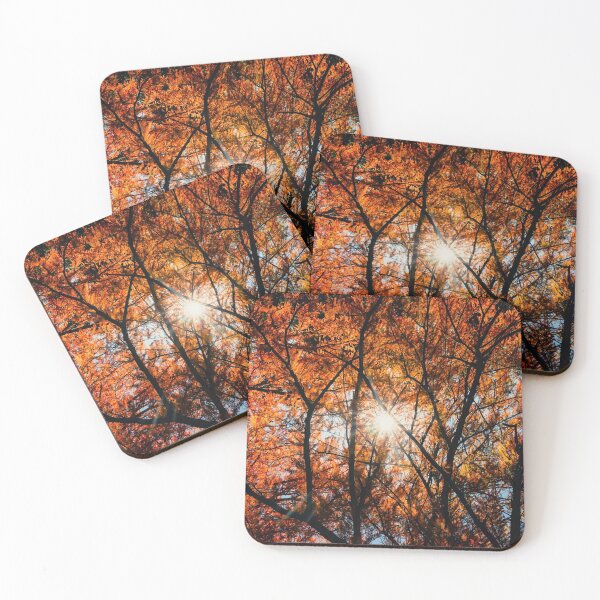 Item preview, Red Colorful Autumn Leaves Sunshine on Pine Tree designed and sold by Andreea Eva Herczegh.