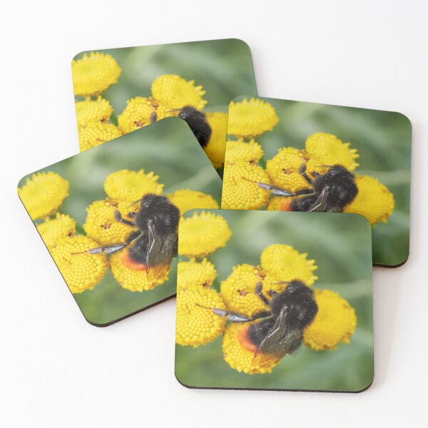 Item preview, Dancing on the yellows. Red tailed bumblebee designed and sold by Jouko Lehto Photography.