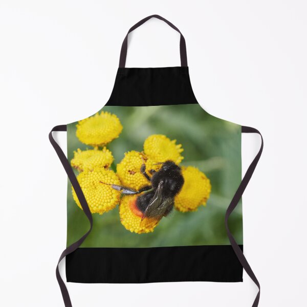 Item preview, Dancing on the yellows. Red tailed bumblebee designed and sold by Jouko Lehto Photography.