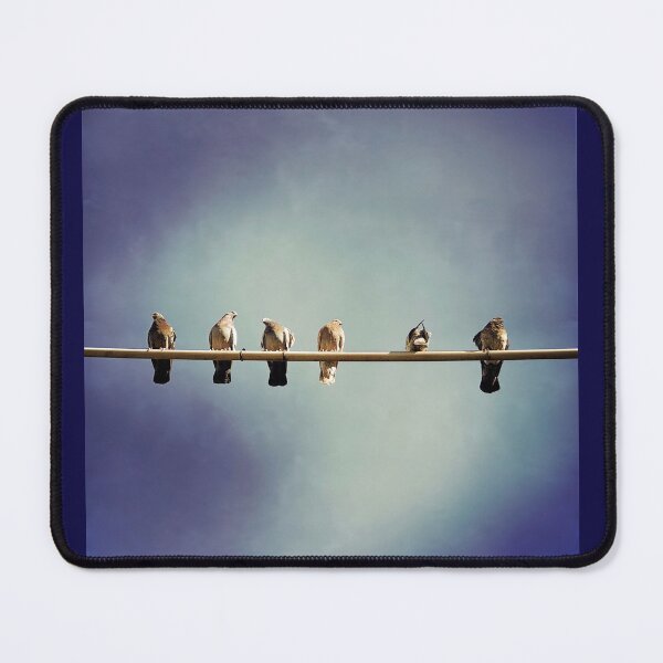 Item preview, Birds on a wire designed and sold by Christine Mignon.