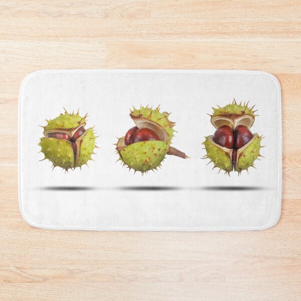 Item preview, Conker cases opening in three stages isolated designed and sold by simonbratt.