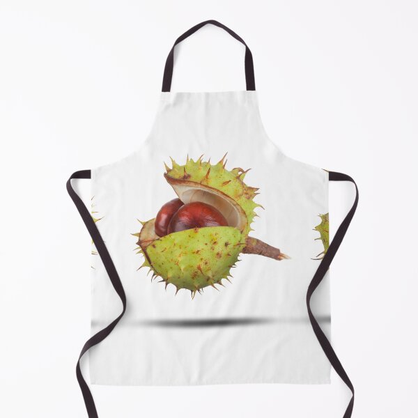 Item preview, Conker cases opening in three stages isolated designed and sold by simonbratt.