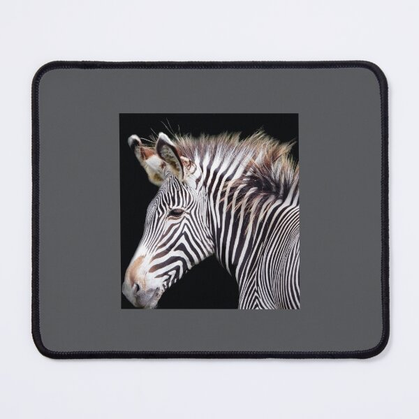 Item preview, A Wonderful Grevy Zebra designed and sold by Karen Thomson.