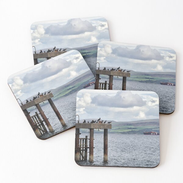 Item preview, Guillemots resting on an old mooring - Mount Stewart, Bute, Scotland designed and sold by Richard Flint.