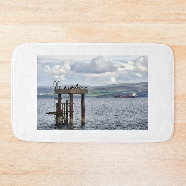 Item preview, Guillemots resting on an old mooring - Mount Stewart, Bute, Scotland designed and sold by Richard Flint.