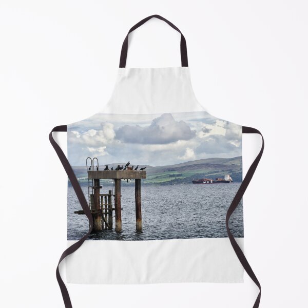 Item preview, Guillemots resting on an old mooring - Mount Stewart, Bute, Scotland designed and sold by Richard Flint.
