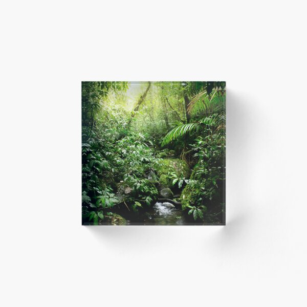 Item preview, Rainforest in Warm Glow designed and sold by Nicklas81.