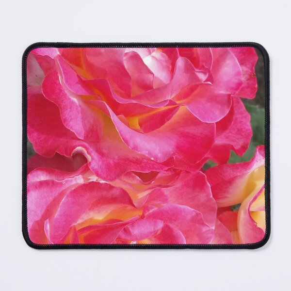 Item preview, Beautiful roses Photography designed and sold by mindmaster007.