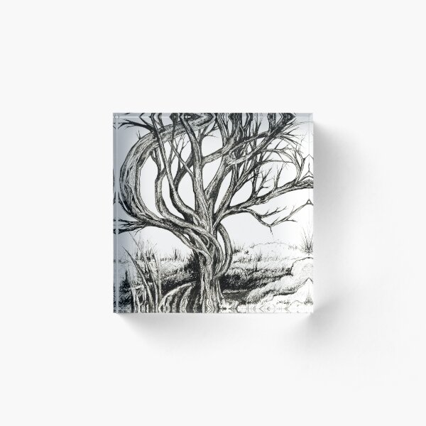 Twisted Tree, Ink Drawing Acrylic Block