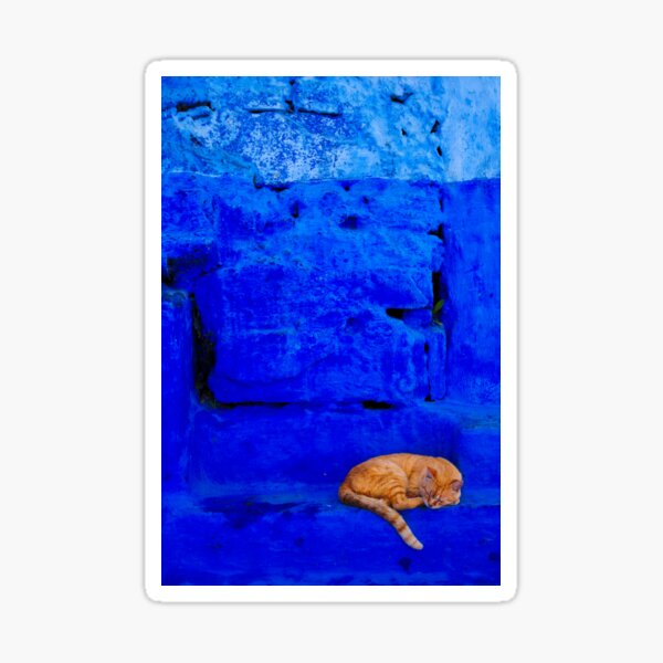 orange cat in a blue world Sticker