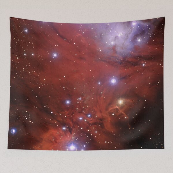Item preview, Fox Fur Nebula (no text only pic) designed and sold by Pablo Carlos Budassi.