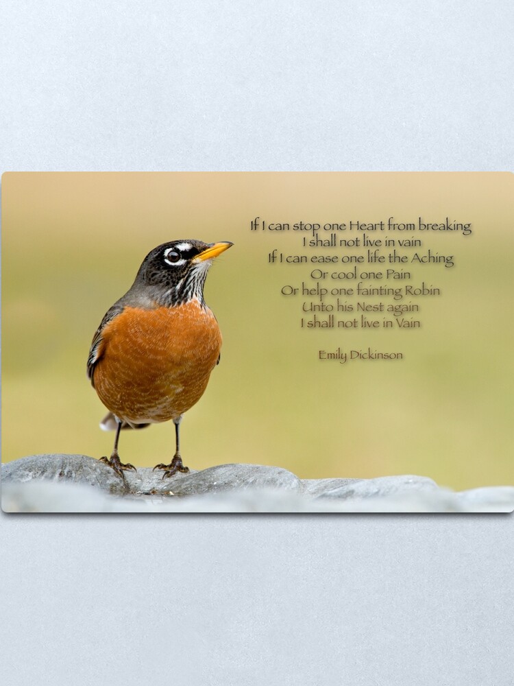 Emily Dickinson S Robin Metal Print By Miracles Redbubble