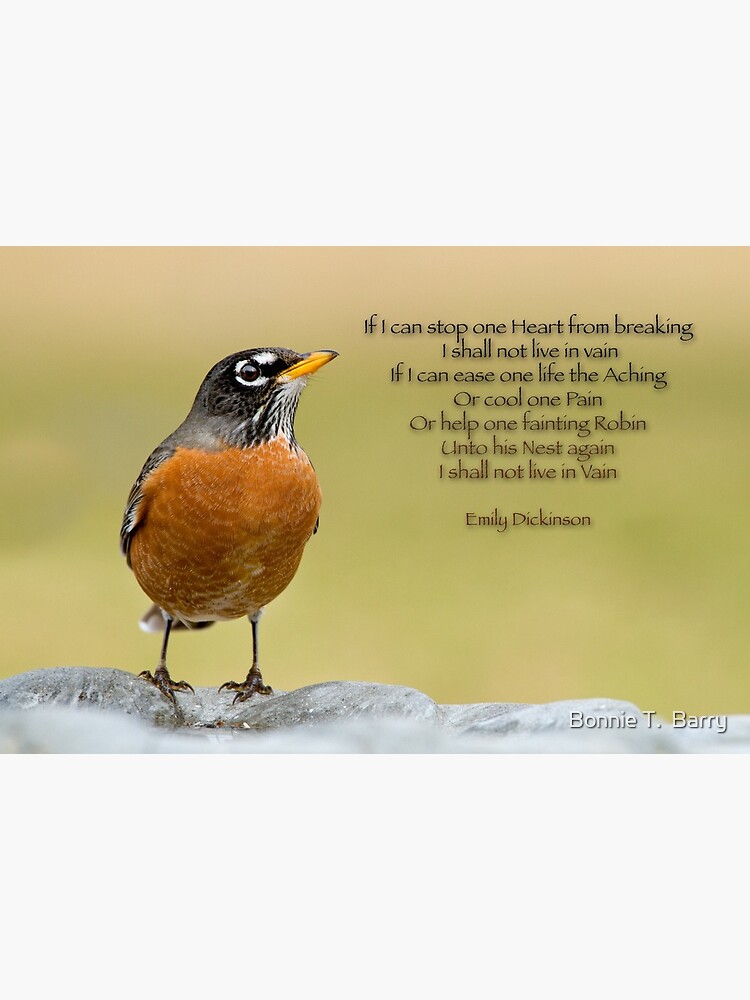 Emily Dickinson S Robin Art Board Print By Miracles Redbubble