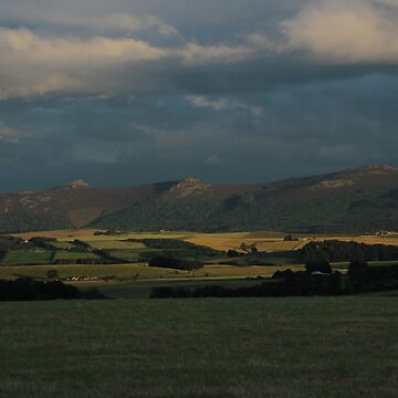 Artwork thumbnail, Bennachie view by Fiona MacNab