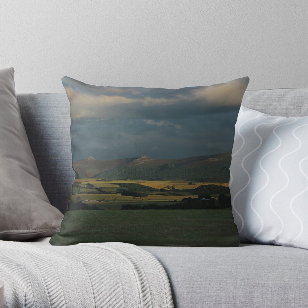 Item preview, Throw Pillow designed and sold by orcadia.