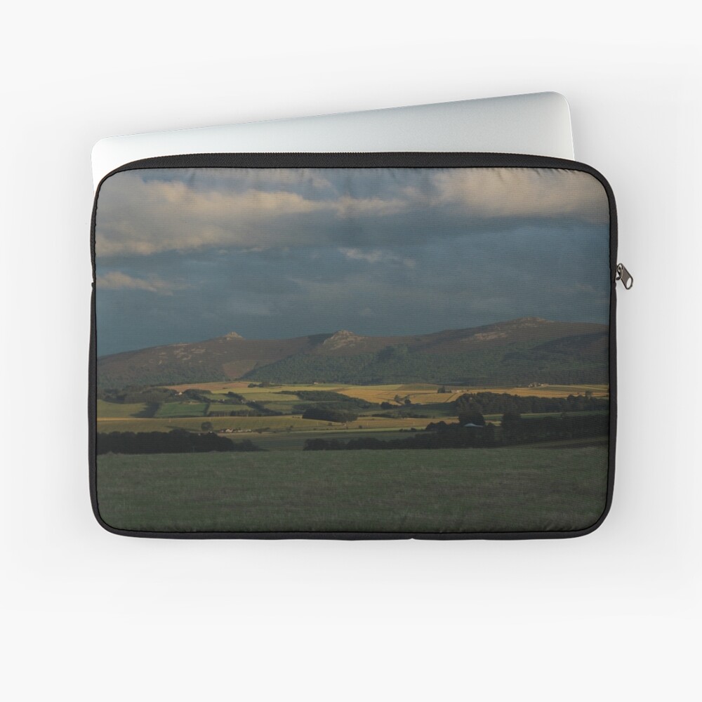 Item preview, Laptop Sleeve designed and sold by orcadia.