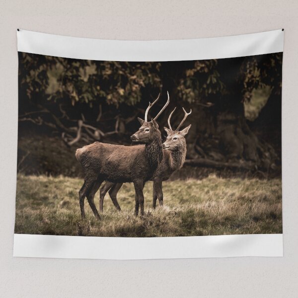Item preview, Looking Back designed and sold by grumpykeith.