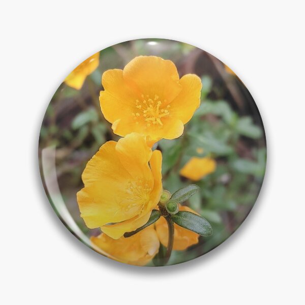 Artikelvorschau, Natur-Blumen-Foto entworfen und verkauft von DesignExpert01.