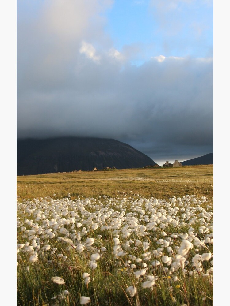Hoy Hills from Graemsay by orcadia