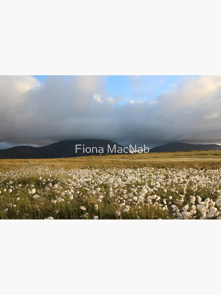 Hoy Hills from Graemsay by orcadia